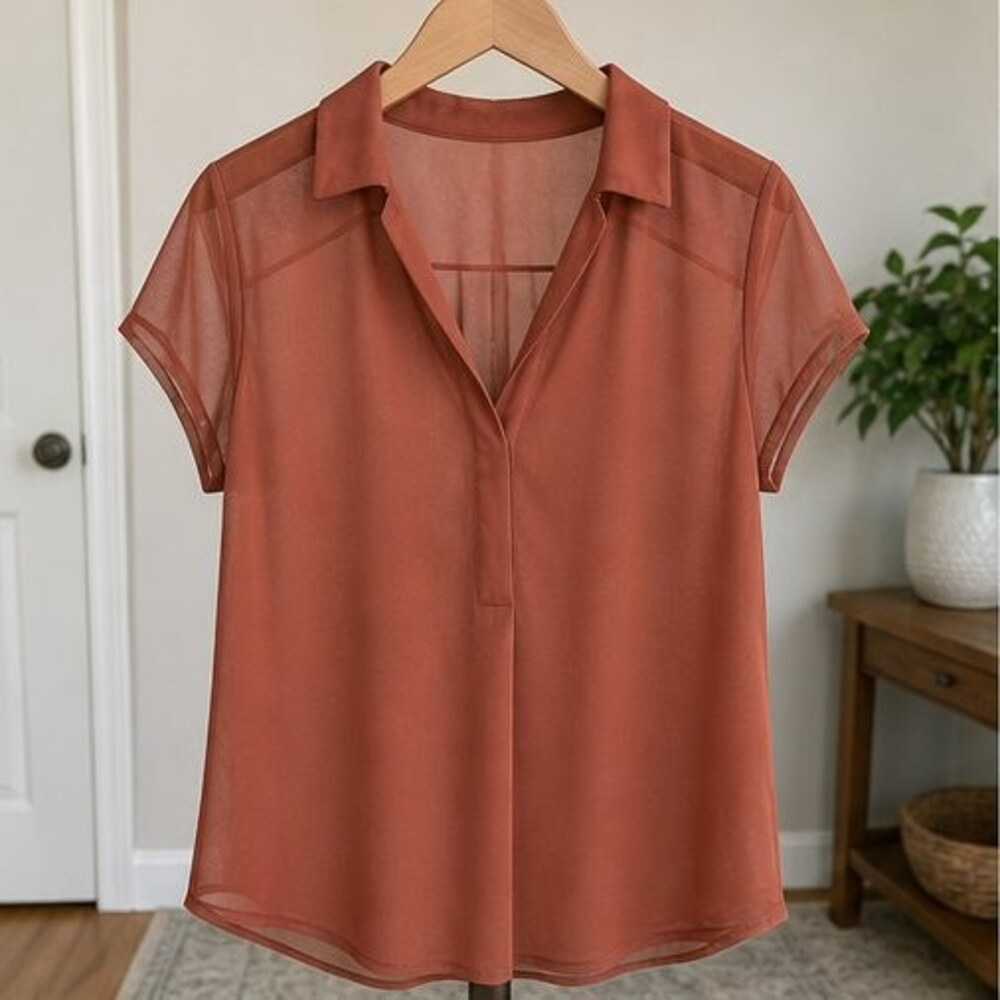 Rust V Neck Top